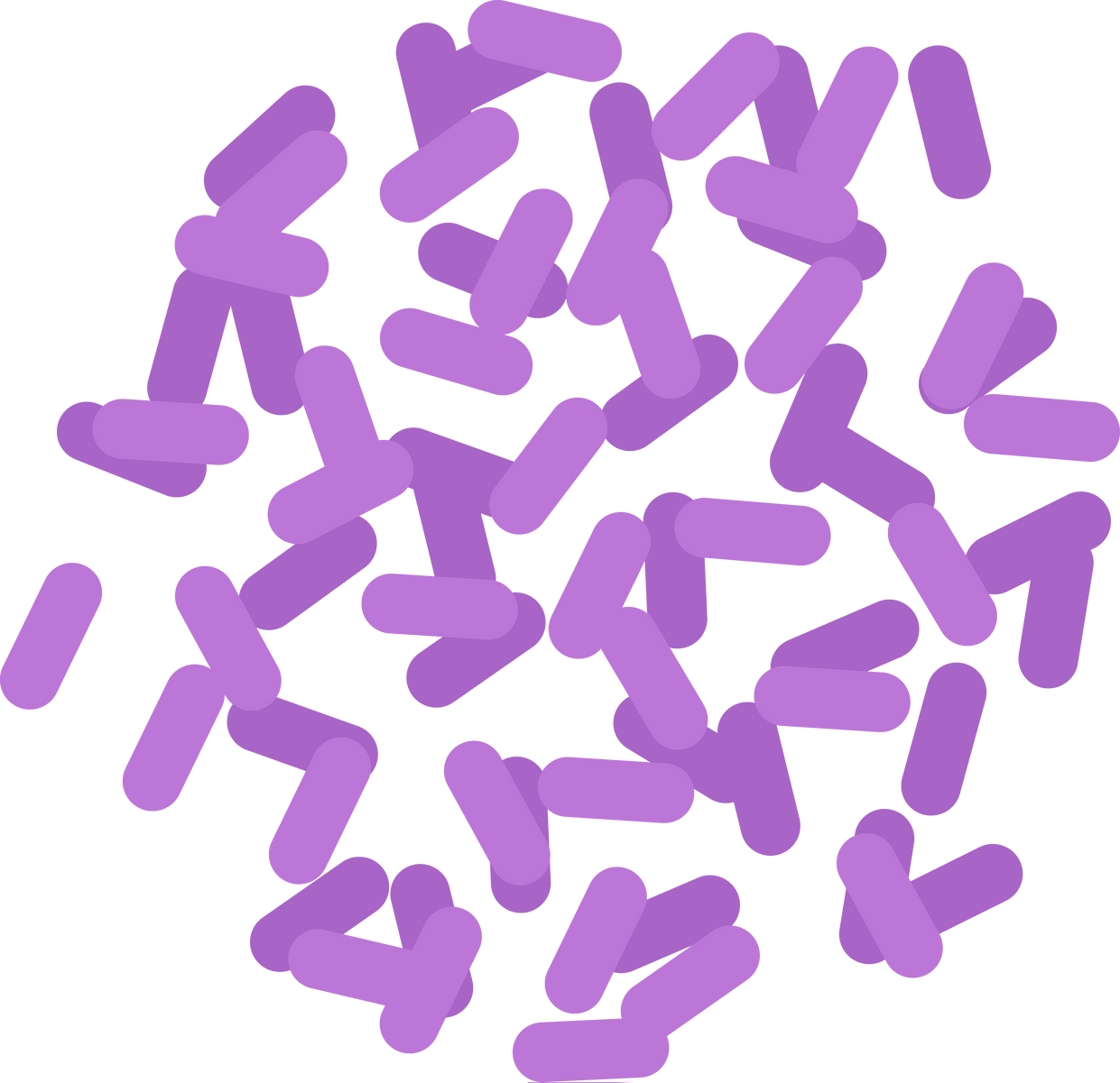 Positive probiotic bacterium microscopic cells