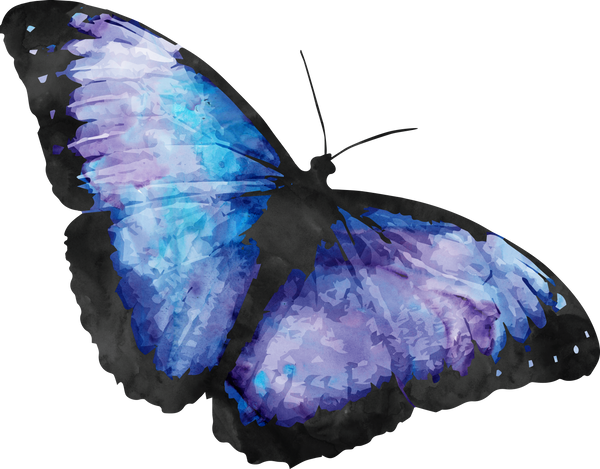 Beautiful Watercolor Butterfly Painting