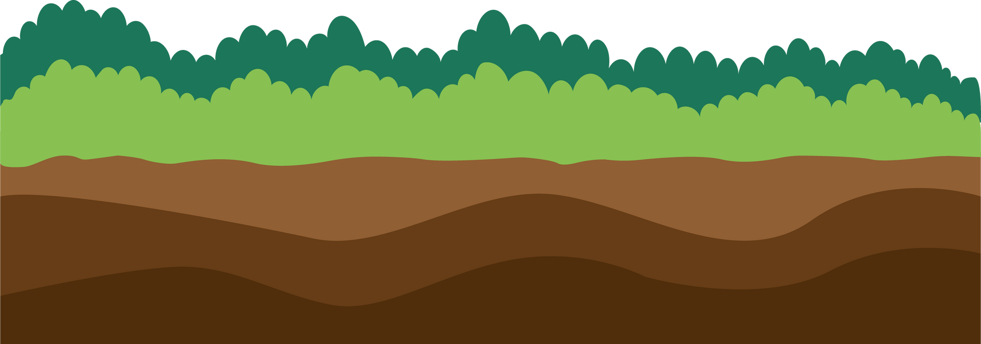 Ground With Bush