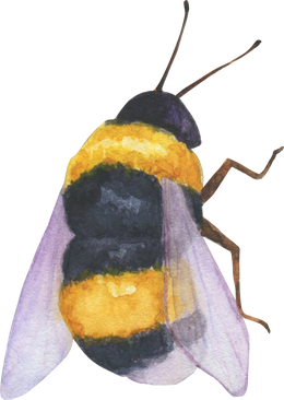 Illustration bee watercolor